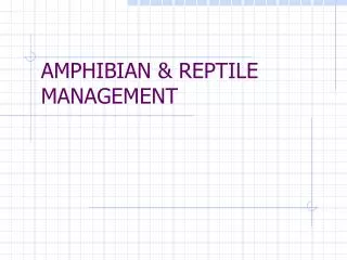 AMPHIBIAN &amp; REPTILE MANAGEMENT