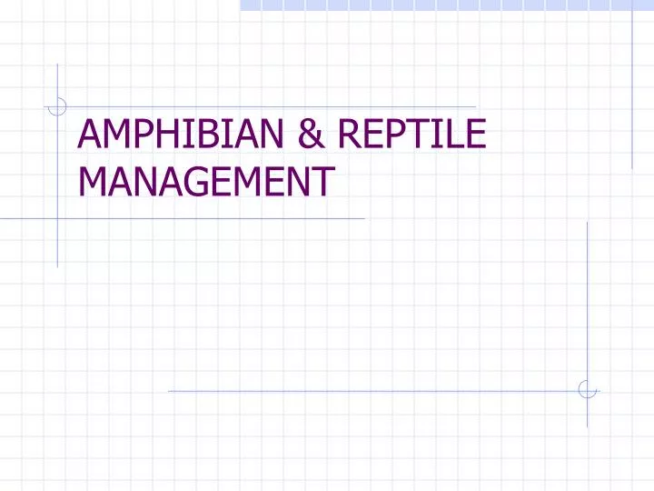 amphibian reptile management