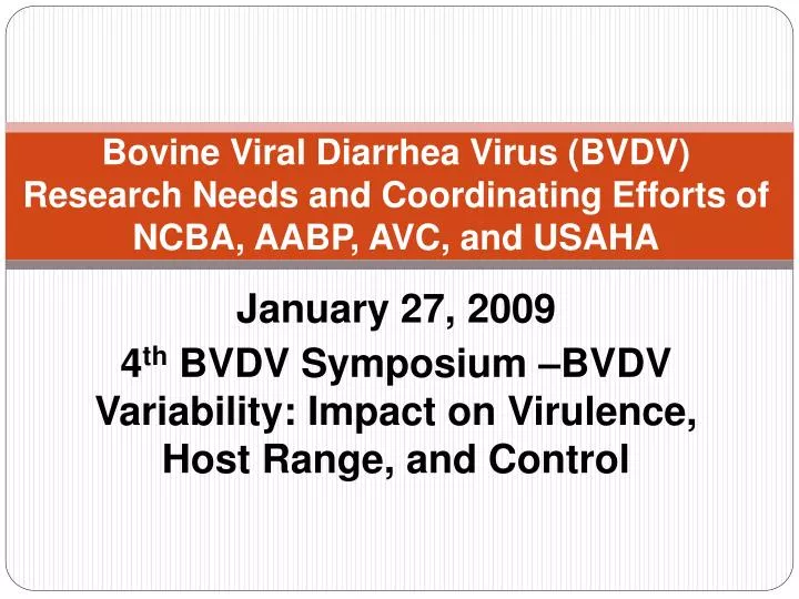 bovine viral diarrhea virus bvdv research needs and coordinating efforts of ncba aabp avc and usaha