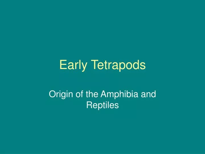early tetrapods