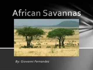 African Savannas