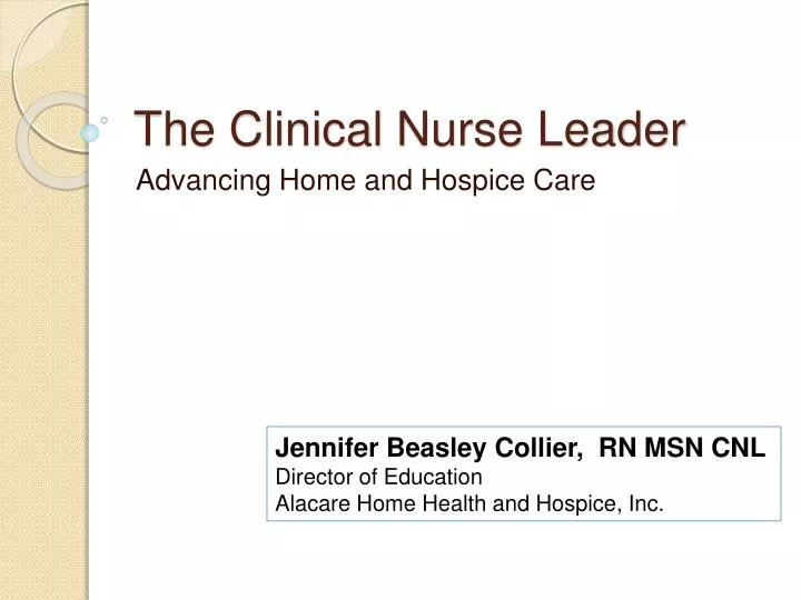 the clinical nurse leader