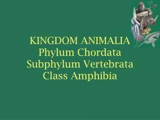 KINGDOM ANIMALIA Phylum Chordata Subphylum Vertebrata Class Amphibia