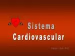 Sistema Cardiovascular - slide 1