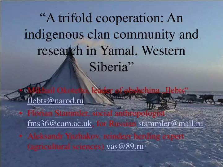 a trifold cooperation an indigenous clan community and research in yamal western siberia