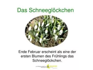 das schneegl ckchen