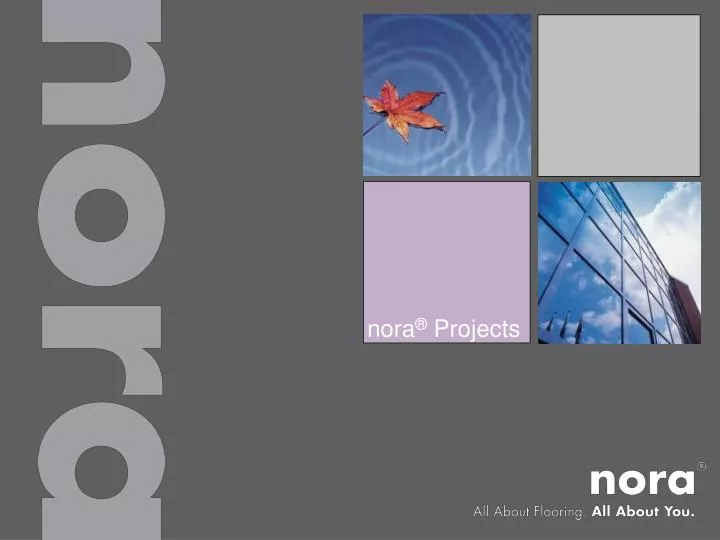 nora projects