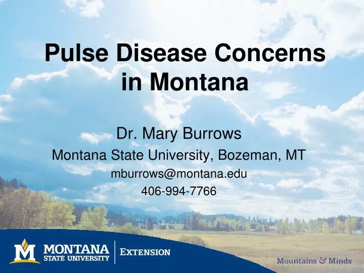 pulse disease concerns in montana