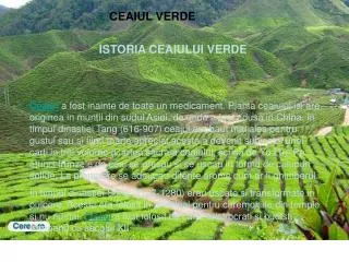 ceai verde