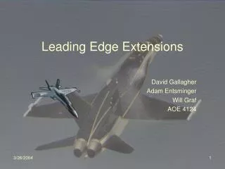 Leading Edge Extensions