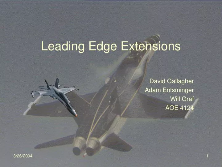 leading edge extensions