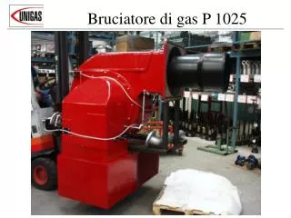 Bruciatore di gas P 1025