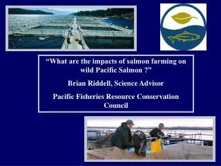 “What are the impacts of salmon farming on wild Pacific Salmon ?” Brian Riddell, Science Advisor Pacific Fisheries Resou