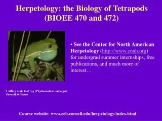 Herpetology: the Biology of Tetrapods (BIOEE 470 and 472)