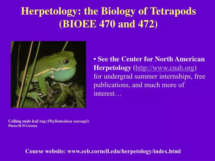 herpetology the biology of tetrapods bioee 470 and 472
