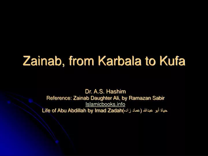 zainab from karbala to kufa