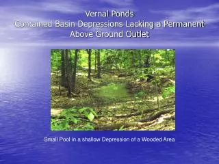Vernal Ponds Contained Basin Depressions Lacking a Permanent Above Ground Outlet