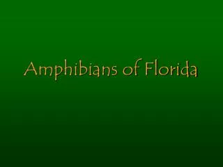 Amphibians of Florida