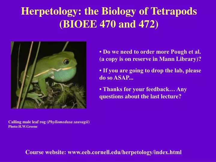 herpetology the biology of tetrapods bioee 470 and 472