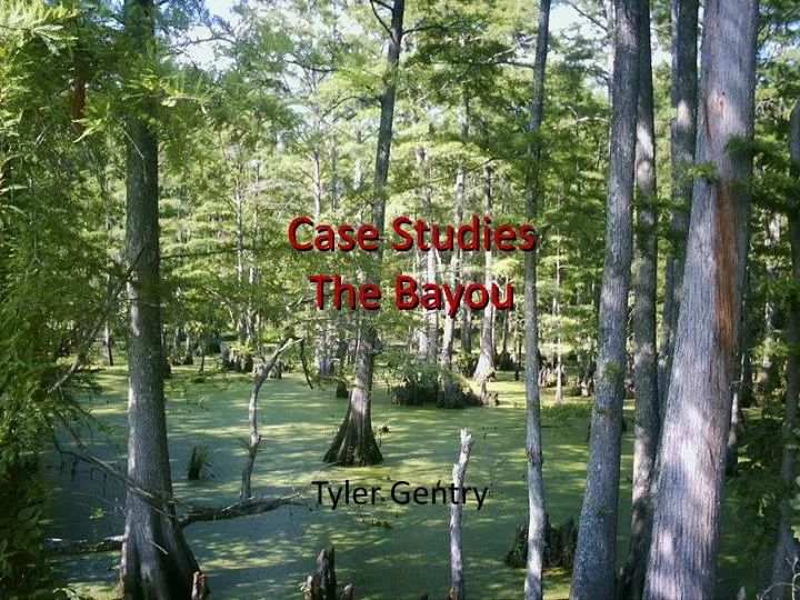 case studies the bayou