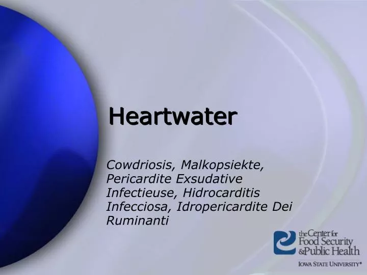 heartwater