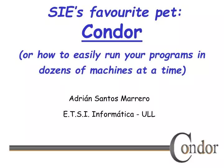 sie s favourite pet condor or how to easily run your programs in dozens of machines at a time