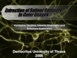 Extraction of Salient Contours in Color Images