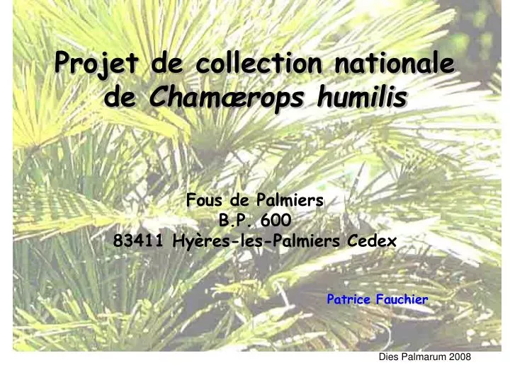 projet de collection nationale de cham rops humilis