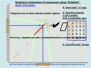 Graphical comparison of sequences using “Dotplots”.