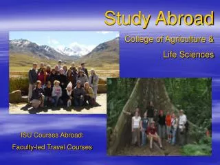 Study Abroad College of Agriculture &amp; Life Sciences
