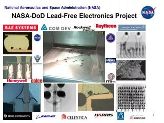NASA-DoD Lead-Free Electronics Project