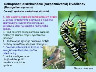 Schopnosti diskriminácie (rozpoznávania) živočíchov (Recognition systems)