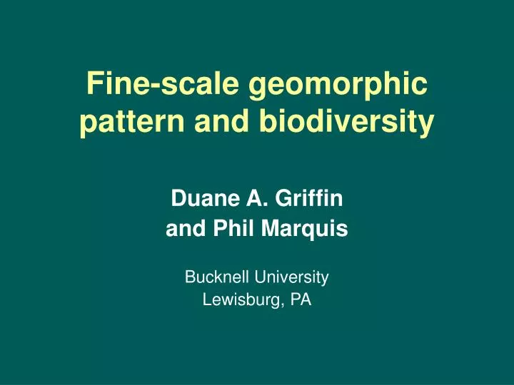 fine scale geomorphic pattern and biodiversity