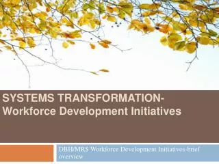 SYSTEMS TRANSFORMATION-Workforce Development Initiatives