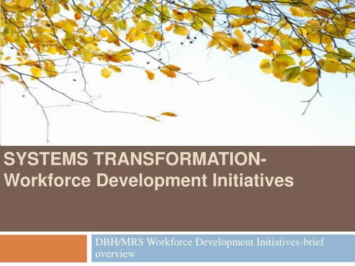 systems transformation workforce development initiatives