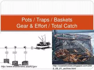 Pots / Traps / Baskets Gear &amp; Effort / Total Catch