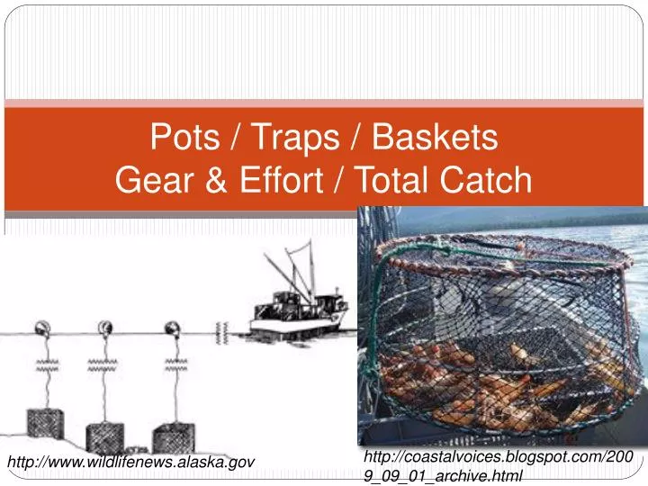 pots traps baskets gear effort total catch
