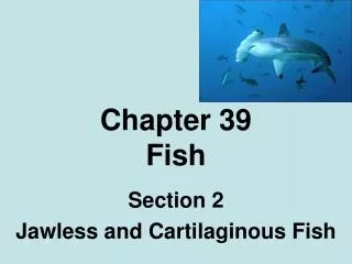 Chapter 39 Fish