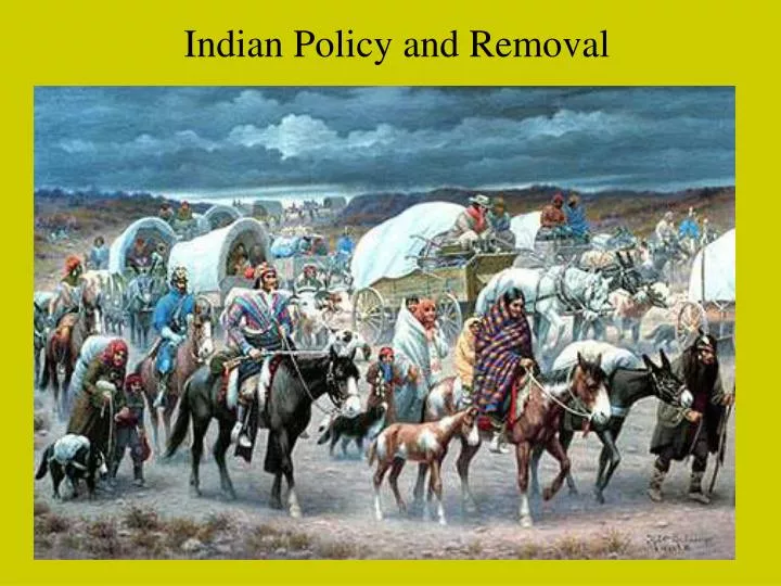 indian policy and removal