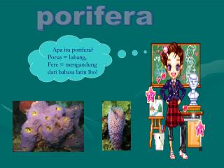porifera