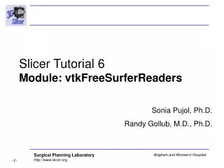 Slicer Tutorial 6 Module: vtkFreeSurferReaders
