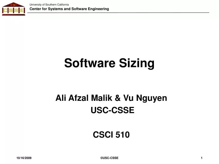 software sizing