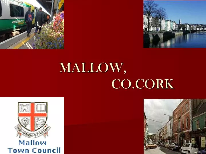 mallow co cork