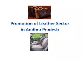 Promotion of Leather Sector in Andhra Pradesh