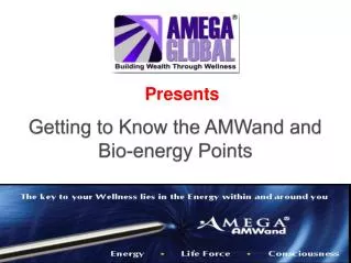 Getting to Know the AMWand and Bio-energy Points