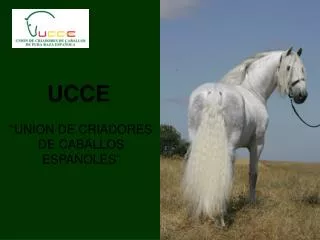UCCE