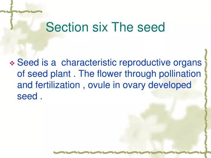 section six the seed