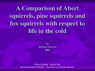 A Comparison of Abert squirrels, pine squirrels and fox squirrels with respect to life in the cold by Justina Thorsen 2