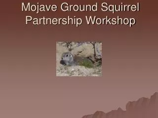 Mojave Ground Squirrel Partnership Workshop