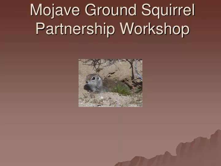 mojave ground squirrel partnership workshop